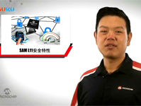 SAM L11安全特性