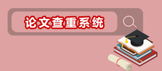 论文查重系统